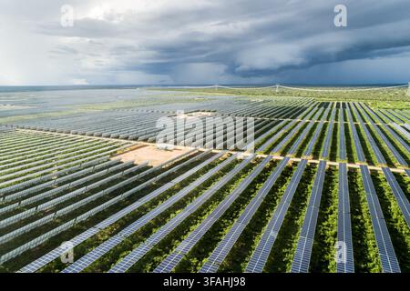Drohnenblick auf das Solarpark von Nova Olinda - eingeweiht im November 2017 - gilt als das größte Solarkraftwerk in Lateinamerika - Regen im Hintergrund Stockfoto