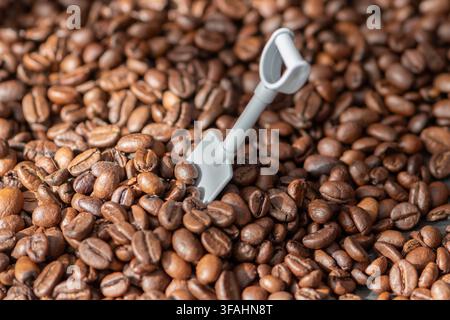 Ein kleiner Schöpflöffel ruht auf einem Haufen gerösteter Kaffeebohnen. Stockfoto