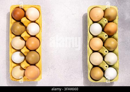Frische Bio-Hühner Eier in verschiedenen braunen und weißen Farben, die in zwei recycelten Kartons auf einem hellgrauen Hintergrund sitzen und natürliche p Stockfoto