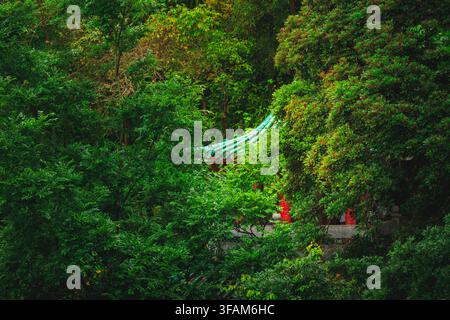 Ein traditionelles chinesisches Dach mit grünen Ziegeln, das durch dichtes Waldlaub lugt. Stockfoto