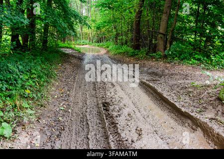 Tiefste Schotterstraße auf dem Land mit sichtbaren Fahrzeugreifen, die sich durch eine üppige grüne Sommerwaldlandschaft schlängeln, und die in einen schattigen Wildnispfad mündet Stockfoto