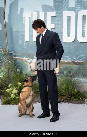 London, UK. 20. Aug., 2026. Jacob Elordi nimmt an der Weltpremiere von "The Dog Stars" im Odeon Luxe Leicester Square teil. Credit: SOPA Images Limited/Alamy Live News Stockfoto