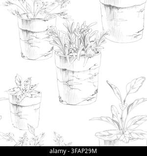 Basiliko, Majoran, Oregano, Salbei und Rosmarin in Blumentöpfen, aromatische Küchenpflanzen, Terrassengarten aus Terrakotta mit detailliertem Laub. Isolierter Bleistift Stockfoto