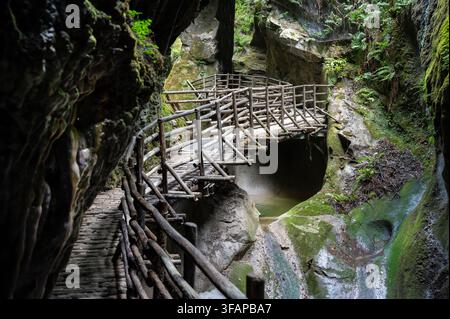 Rustischer Holzweg, der in eine moosige Felswand eingebaut ist und durch eine natürliche Schlucht führt Stockfoto