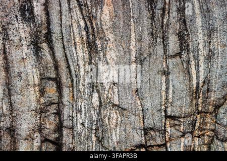 Nahaufnahme von grauem Granitfelsen mit feinen schwarzen und weißen vertikalen Streifen. Stockfoto