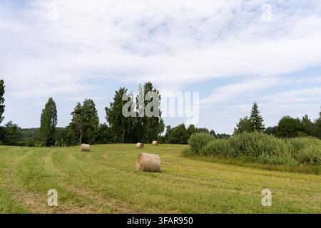 Runde Heuballen, die über ein frisch gemähtes ländliches Feld unter einem hellen bewölkten Sommerhimmel verstreut sind. Stockfoto