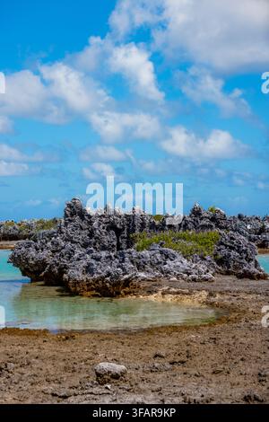 Korale Felsformation erhebt sich aus dem Lagunenwasser auf dem Rangiroa-Atoll in Französisch-Polynesien Stockfoto