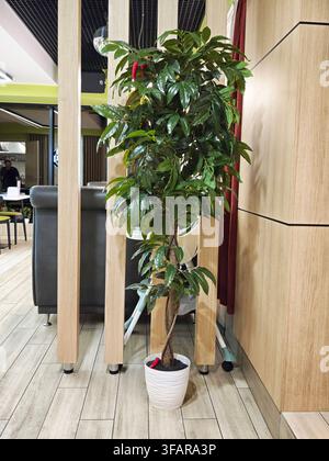 Eine grüne Pflanze in einem weißen Topf steht neben Holzpaneelen in einem gemütlichen Raum. Im Hintergrund sind Möbel zu sehen. Stockfoto