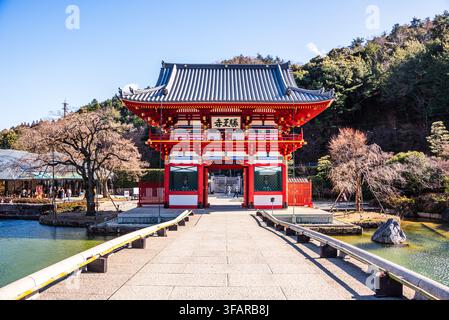Verziertes rotes Tor am Katsuo-ji-Tempel mit Spiegelung im Wasser und Weg, der durch das Gelände in Minoh, Japan, führt Stockfoto