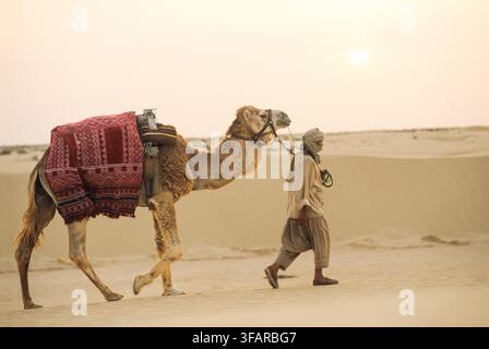 Kameltreiber führt ein Dromedar durch die Lareguett-Dünen während des Sonnenuntergangs in der Wüste Tunesiens Stockfoto