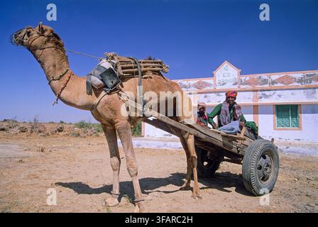 Rabari-Männer mit einem Kamelwagen am Tag in der Banni-Region des Kutch-Distrikts Stockfoto