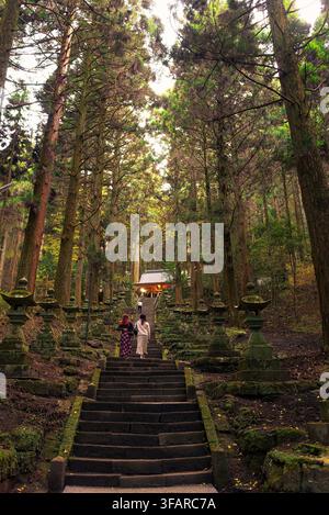 Treppe, die zum Kamishikimi Kumanoimasu-Schrein führt, eingebettet in einem Zedernwald in Japan im Herbst Stockfoto