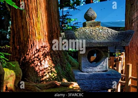 Steinerne Laterne steht neben alten Bäumen am Takachiho-Schrein in Miyazaki, Japan, und markiert eine heilige Stätte, die bis ins Jahr 1.900 zurückreicht Stockfoto