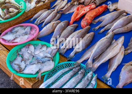 Ansicht von Fischen auf dem Haean-Markt in Chungmudong auf der Straße mit Schildern an einem sonnigen Tag, Chungmu-daero, Seo-gu, Busan, Südkorea Stockfoto