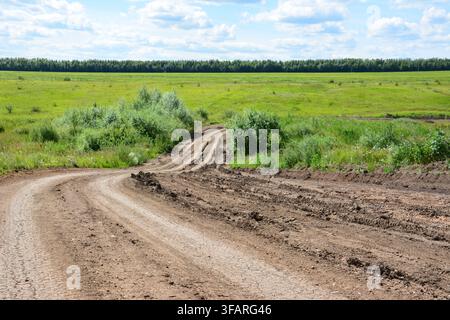 Winding Feldweg, der an einem sonnigen Tag durch grüne Felder unter einem blauen Himmel führt Stockfoto