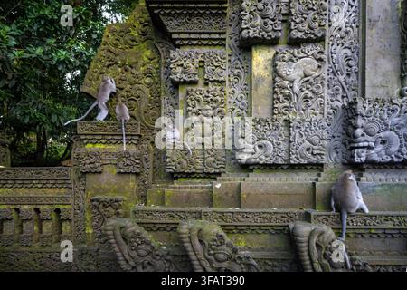 Vier langschwänzige Makaken besetzen verschiedene Absätze einer verzierten Tempelmauer im Ubud-Affenwald auf Bali. Stockfoto