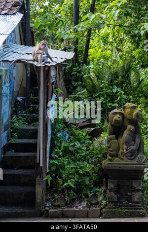 Ein langschwänziger Makake sitzt auf einem kleinen Dach neben einer moosbedeckten Affenfamilienskulptur inmitten tropischer Vegetation in Ubud Bali. Stockfoto
