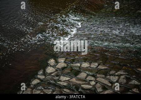 Vestrev, Tschechische Republik. 21. Aug., 2026. Niedriger Wasserstand im oberen Elbetal in Vestrev, Region Trutnov, Tschechische Republik, während der aktuellen Dürre, am 21. August 2026. Credit: David Tanecek/CTK Photo/Alamy Live News Stockfoto