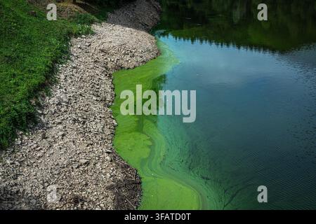 Bílá Třemešná, Tschechische Republik. 21. Aug., 2026. Niedriger Wasserstand im Stausee Les Kralovstvi an der Elbe in Bílá Třemešná nahe Dvůr Králové nad Labem, Region Trutnov, Tschechische Republik, während der aktuellen Dürre, am 21. August 2026. Credit: David Tanecek/CTK Photo/Alamy Live News Stockfoto