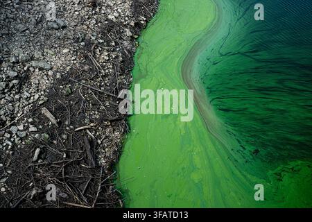 Bílá Třemešná, Tschechische Republik. 21. Aug., 2026. Niedriger Wasserstand im Stausee Les Kralovstvi an der Elbe in Bílá Třemešná nahe Dvůr Králové nad Labem, Region Trutnov, Tschechische Republik, während der aktuellen Dürre, am 21. August 2026. Credit: David Tanecek/CTK Photo/Alamy Live News Stockfoto