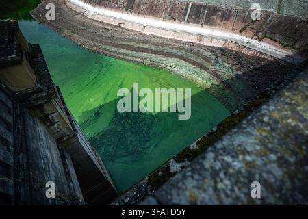 Bílá Třemešná, Tschechische Republik. 21. Aug., 2026. Niedriger Wasserstand im Stausee Les Kralovstvi an der Elbe in Bílá Třemešná nahe Dvůr Králové nad Labem, Region Trutnov, Tschechische Republik, während der aktuellen Dürre, am 21. August 2026. Credit: David Tanecek/CTK Photo/Alamy Live News Stockfoto
