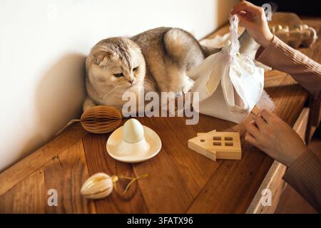 Hauskatze liegt auf einem Holztisch, umgeben von dekorativen Gegenständen, darunter ein kleines Haus und ein verpacktes Geschenk, während eine Hand zusätzliche Dekorationen arrangiert Stockfoto