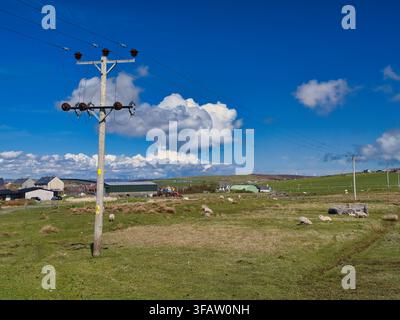 Shetland, UK - 18. Mai 2026: Stromleitungen überqueren eine ländliche Schafweide neben Bauernhäusern auf Bressay, Shetland, UK, unter dramatischen weißen Wolken und tiefblauem Himmel Stockfoto