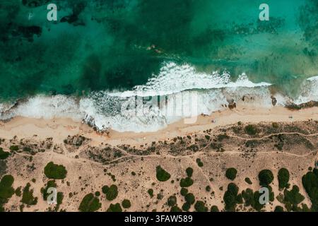 Luftaufnahme des Formentera-Strandes mit türkisfarbenen Wellen, die an der sandigen Küste brechen, und Dünen, die mit grünen Sträuchern bedeckt sind, auf den Balearen, Spanien. Stockfoto