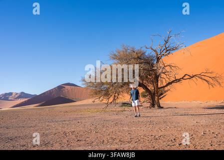 Ein Mann steht neben einem Wüstendickicht in der Nähe von orangefarbenen Sanddünen in Sossusvlei, Namibia Stockfoto