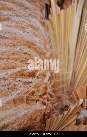 Nahaufnahme von getrockneten Ziergräsern und Palmblättern in warmen Beigetönen, die eine natürliche botanische Textur erzeugen. Stockfoto