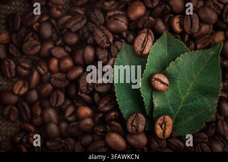 Frische grüne Blätter und geröstete Kaffeebohnen, die auf einem rustikalen Sackleinenhintergrund arrangiert sind, Aroma- und Energiekonzept. Stockfoto