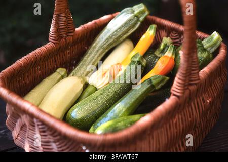 Korb mit verschiedenen Zucchini und Blüten auf Holzunterlage, Komposition aus frischem Gemüse, Konzept von der Farm zum Tisch. Grün- und Gelbschoten-Nähe, natürliches Licht, gesundes Produkt Stockfoto
