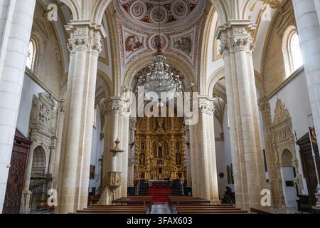 Innenraum der Kathedrale der Geburt unserer Lieben Frau in Baeza, Andalusien, Spanien Stockfoto