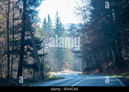 Eine asphaltierte kurvenreiche Straße, die durch einen dichten Bergwald mit gemischten Kiefern und Herbstlaubbäumen verläuft. Ein hölzerner Strommast mit Stromleitungen lehnt Stockfoto