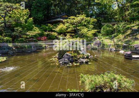 Eine detaillierte Darstellung eines friedlichen japanischen Gartens mit einem sonnenbeschienenen Teich, der das üppige Grün widerspiegelt, und einer kleinen felsigen Insel Stockfoto