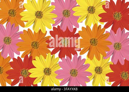 Mehrfarbiges Blumenmuster auf weißem Hintergrund, lebendiger floraler Hintergrund mit überlappenden Blumen in hellem Gelb, Rot, Rosa und Orange Stockfoto
