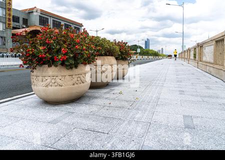Große Pflanzgefäße mit roten Blumen auf dem städtischen Bürgersteig. Stockfoto