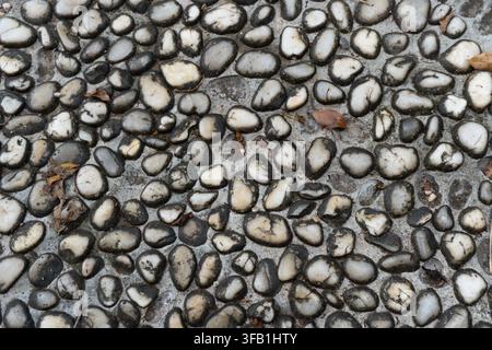 Schwarze und weiße Kieselsteine, die auf grauem Beton angeordnet sind. Stockfoto