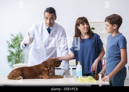Der Tierarzt untersucht den Golden-Retriever-Hund in der Klinik Stockfoto