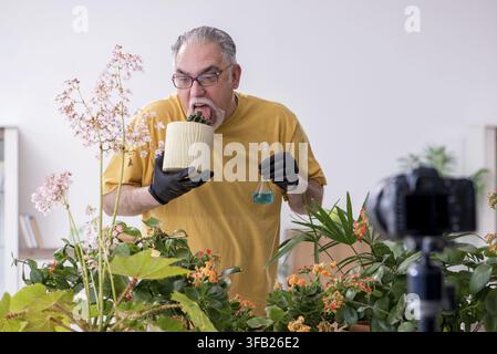 Alter männlicher Gärtner mit Pflanzen zu Hause Stockfoto