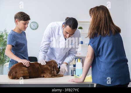 Der Tierarzt untersucht den Golden-Retriever-Hund in der Klinik Stockfoto