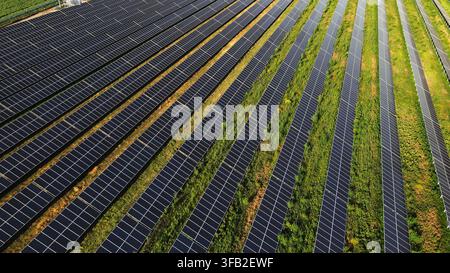 Umfangreiche Solarfarm, die saubere regenerative Energie aus Sonnenlicht erzeugt, in parallelen Reihen auf grünem Boden angeordnet, Luftaufnahme Stockfoto