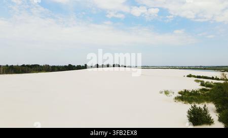 Weite weiße Sandwüstenlandschaft, die auf eine Reihe grüner Bäume und ein entferntes Gewässer unter einem hellen Himmel trifft Stockfoto