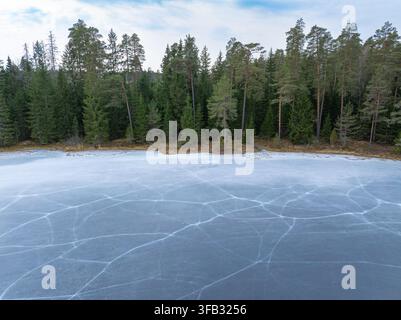 Gefrorener See mit gesprungenem Eis und dichtem Kiefernwald in Lettland Stockfoto