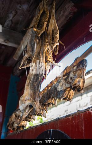 Getrockneter Stockfisch, der an einem Holzgestell in Lofoten hängt Stockfoto