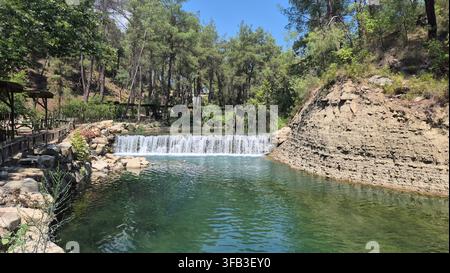Natürlicher Wasserfall-Wasserfall über Flusswehr, umgeben von grünem Wald und Felsformationen Stockfoto
