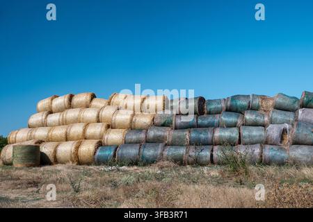 ein massiver, organisierter Stapel runder Heuballen im Freien, kontrastierende goldene, unverpackte Ballen links mit dunkelgrünen, netzverpackten Ballen rechts Stockfoto