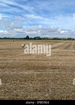 Einzelne runde Heuballe in einem weiten abgeernteten Feld unter einem blauen Himmel mit vereinzelten Wolken und offener Horizont. Stockfoto