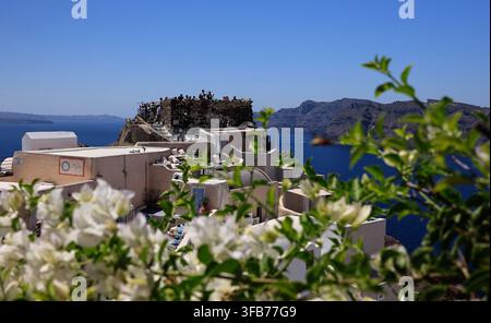 Santorini, Griechenland - 4. August 2026: Weiße Bougainvillea-Blüten umrahmen eine Aussicht auf die Burgruinen von Oia, Touristen und das Ägäische Meer. Stockfoto