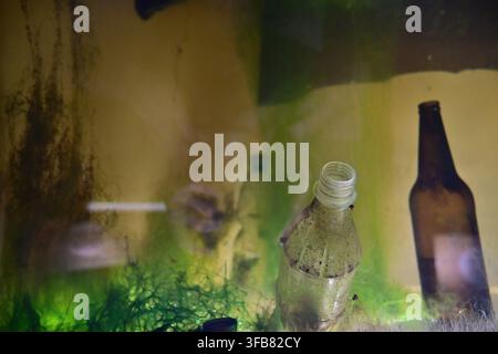 Plastik- und Glasflaschen verschmutzen das trübe Wasser des Sees, das Algen und Müll am Grund enthält. Stockfoto